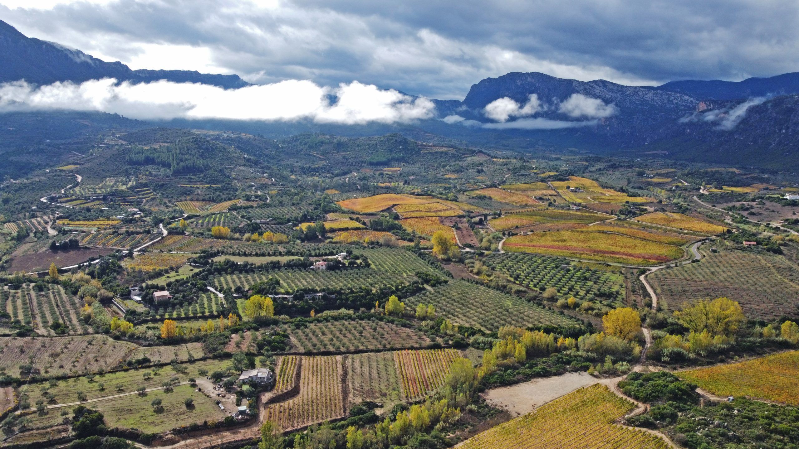 Valle di Oddoene 